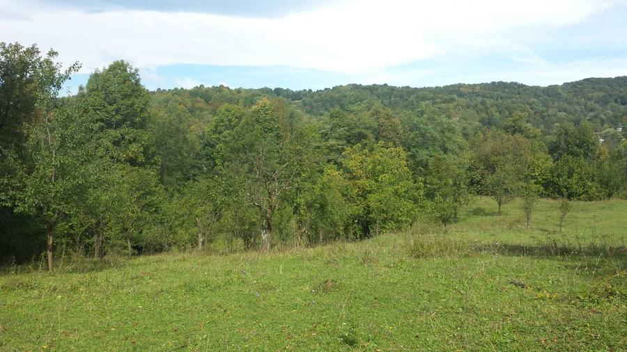 Teren intravilan Provita de jos(linga Breaza) PRAHOVA - 4