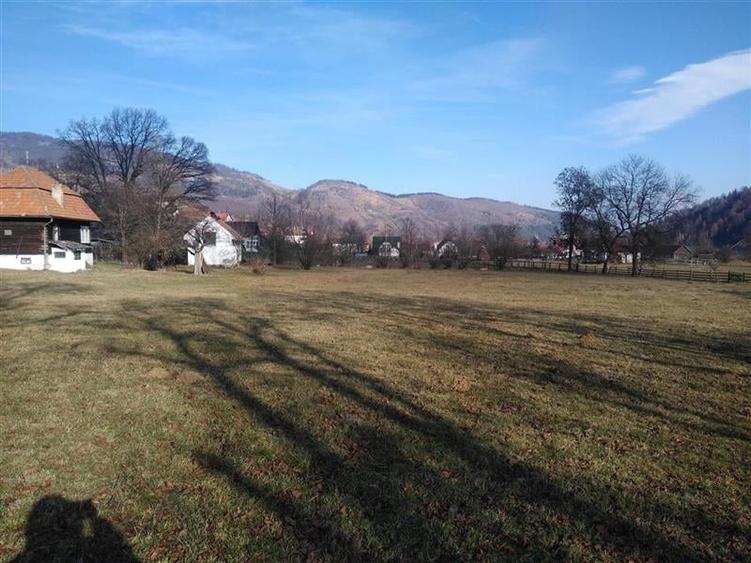 Vanzare teren Moeciu - Brasov - 6000 mp - 3