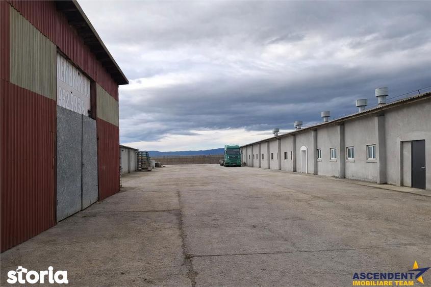 Hala industriala versatila,spatii cazare, platforma betonata,Halchiu,B - 9