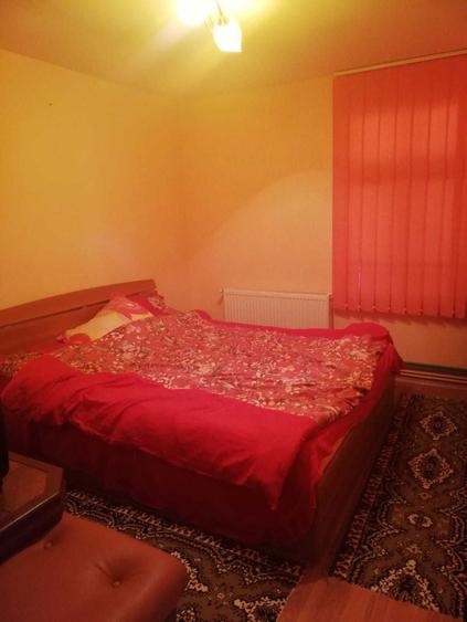 Vanzare case,+teren 25.000mp-Calinesti Arges-langa Pitesti - 4