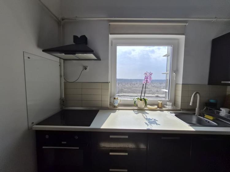 0% COMISION! Vanzare 3 camere Complex Felicity,  3 bai si 2 locuri de parcare - 10