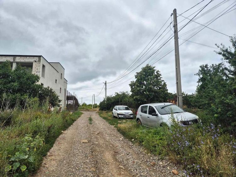 Vand Teren Visan Birnova intravilan - 5