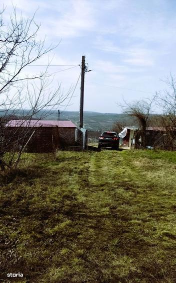 Aroneanu-Teren 1353mp intravilan la 350m de strada principala - 10