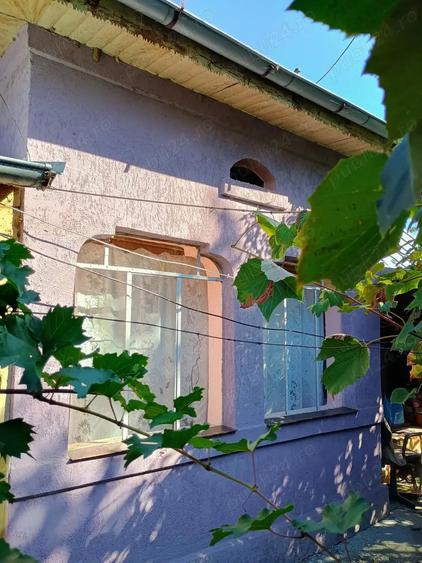 Casa batraneasca de vanzare - 9