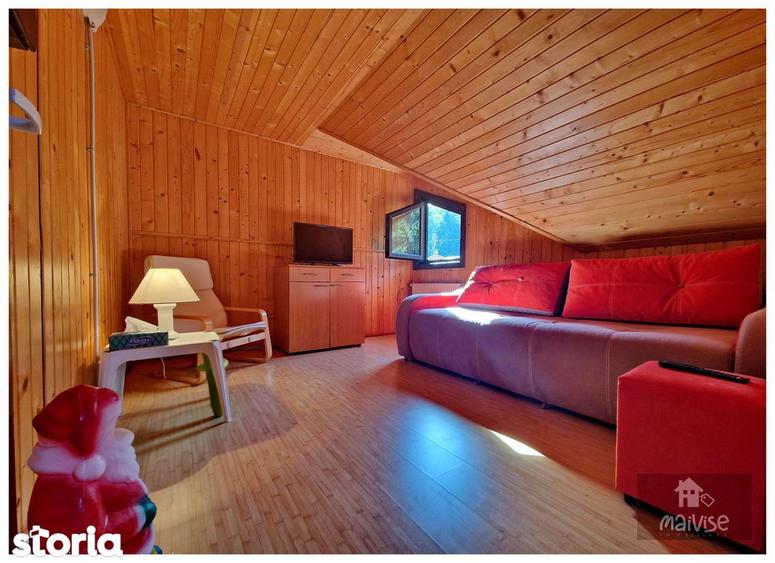Casa de vacanta- Valea Bozomului, Brasov - 9