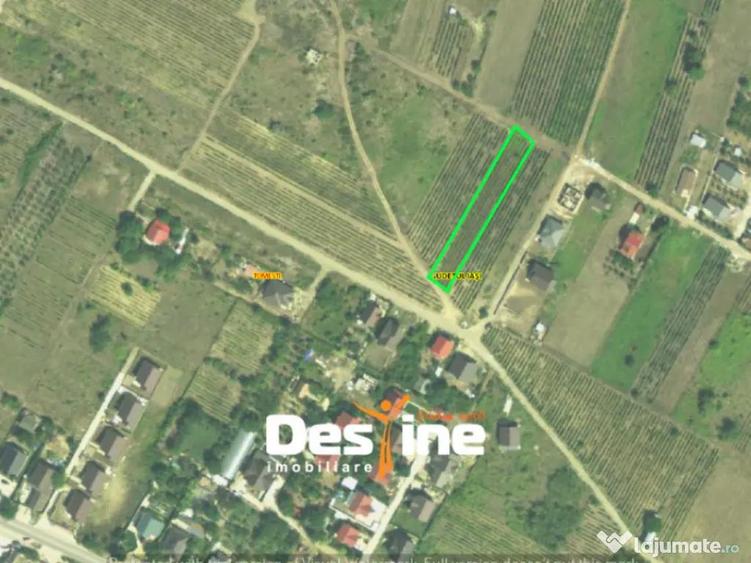 Teren Chicerea, 1250 mp, zona in plina dezvoltare, 25 eur - 4