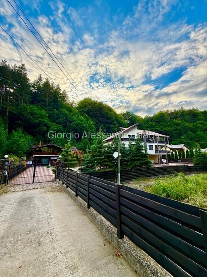 Casa de vacanta sau pensiune | Batca Doamnei | Teren in natura