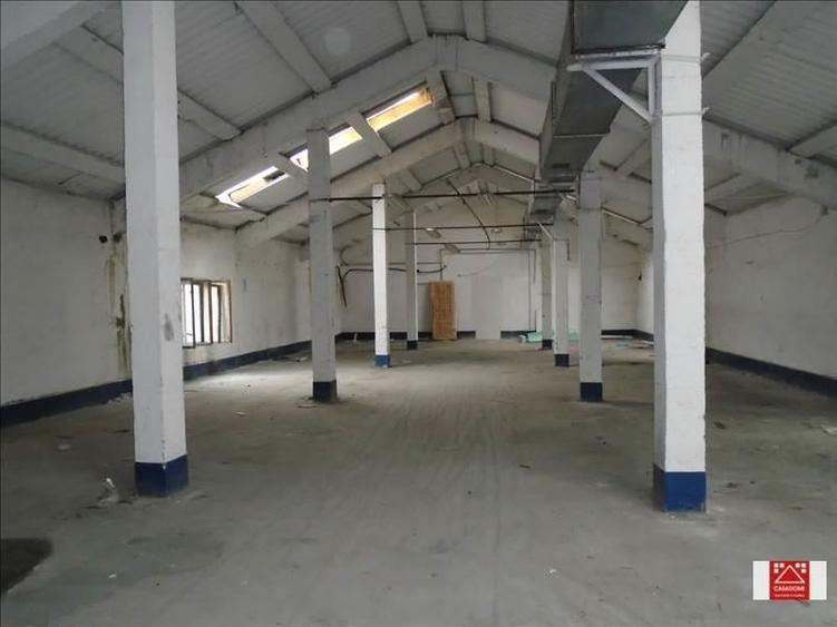 Hala de depozitare, Aradul Nou - 5