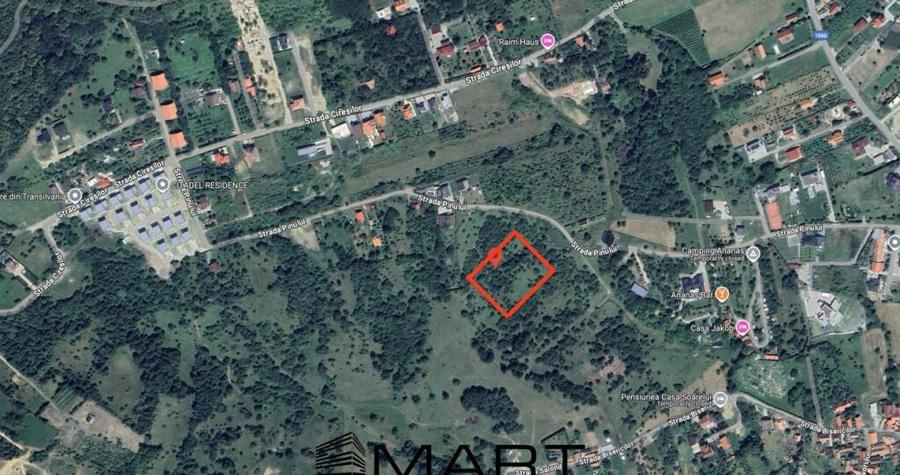 Teren intravilan 2500mp cu PUZ aprobat, CU si utilitati in C - 1