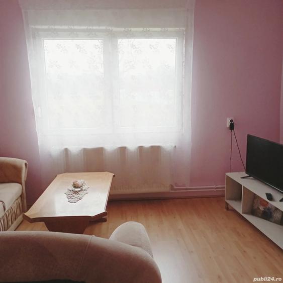 Casa vanzare Doclin ,Caras Severin .Pre? 40.000 euro - 8