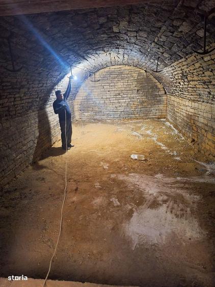 Domeniul Solesti: locuinta si oportunitate de business - 6