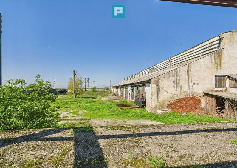 Spa?iu industrial, rampa ?i acces la calea ferata - 6