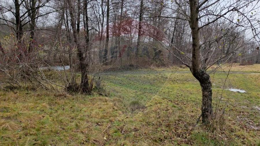 Teren 2,932mp Sarbi (Budesti) / Drumul Principal - 1