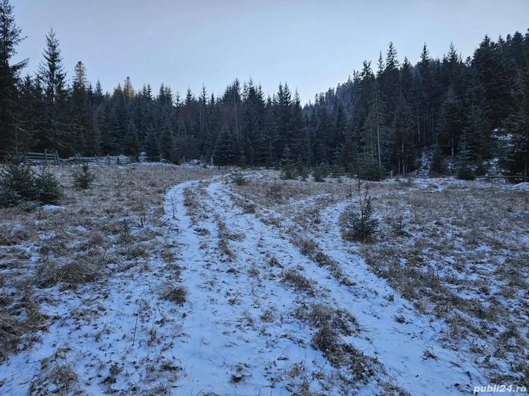 Teren extravilan de vanzare inconjurat de padure in Bucovina zona Breaza - 3