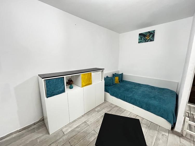 Lacul Tei -Teiul Doamnei Facultatea de Constructii - 7