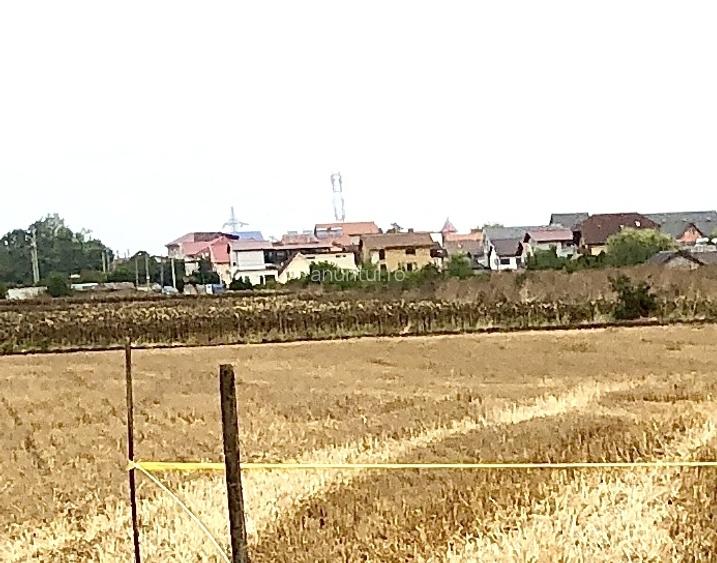 Costinesti Costinesti