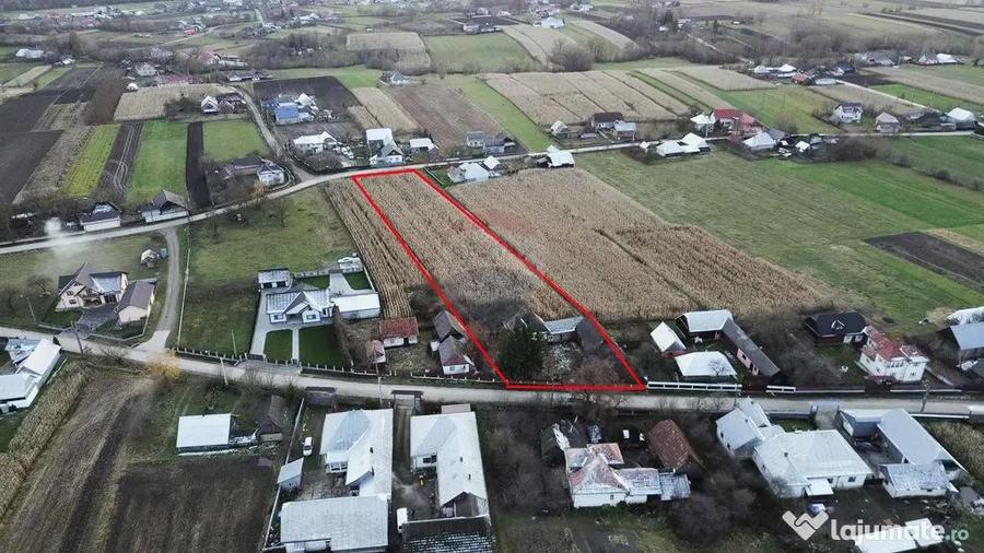 Casa de vanzare in Com Fratautii Noi - 16