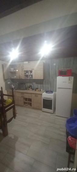 Vand casa de locuit, toate utilita?ile, lac de pescuit, gradina - 9