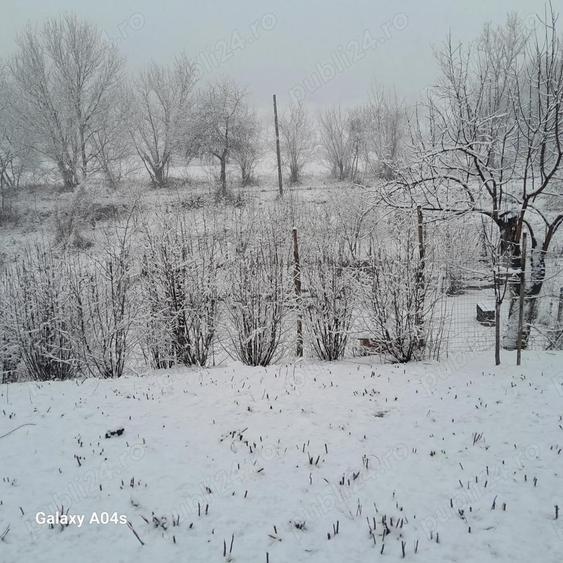 Vand casa in Amna? - 1