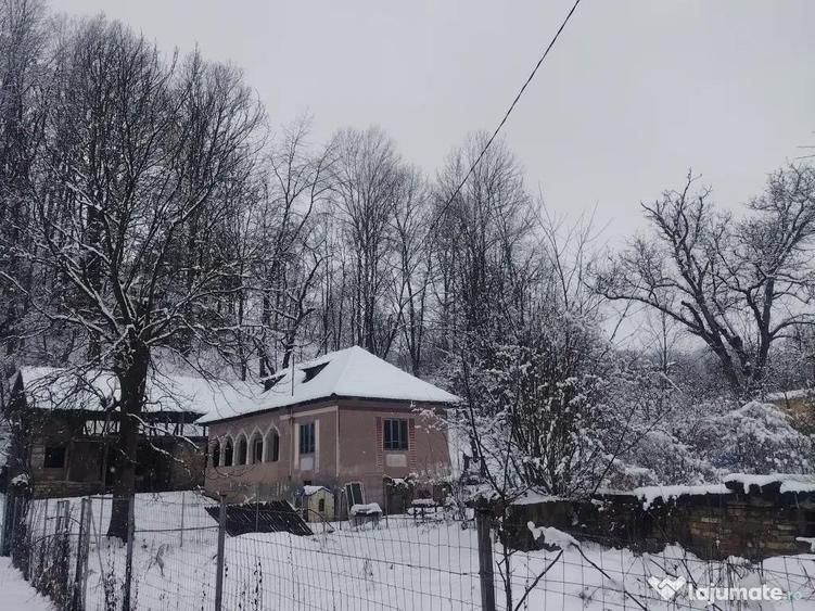 Casa boiereasca Urseiu - 5