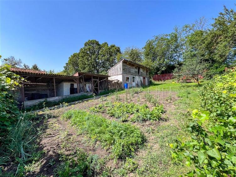 Casa primiroate in decor valoros si rodnic teren de 850mp, Ilieni, Covasna: FILM - 30