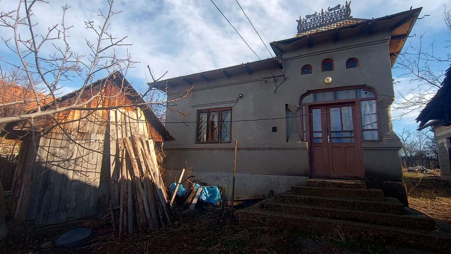 Gospodarie rurala/casa de vanzare - 2