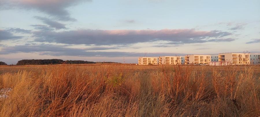 47500mp INTRAVILAN Pantelimon ideal investitie/ cartier case/ direct proprietar! - 11