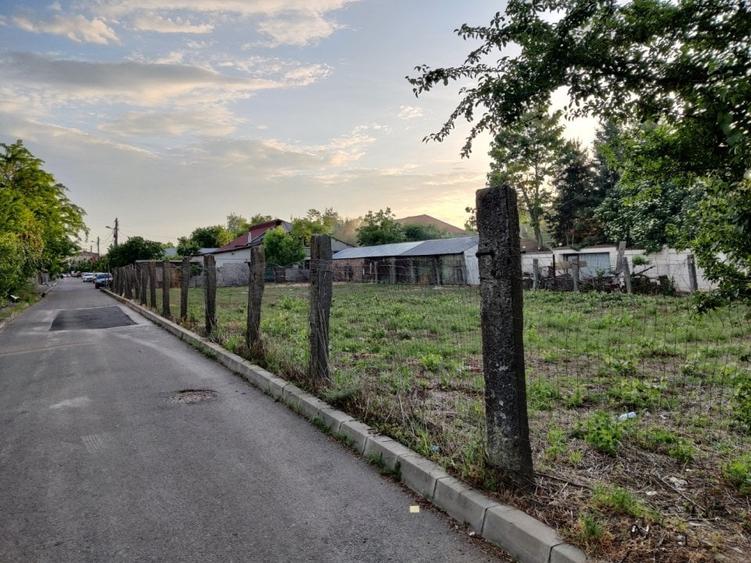 Teren Straulesti 500mp - 9