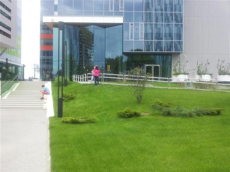 Spatii birouri Green Court de la 91 mp - 19