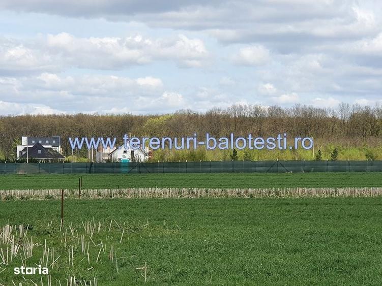 Vanzare teren langa padure,drum amenajat,case noi ,620 mp,26500 E - 10