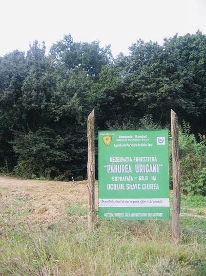 Teren intravilan Iasi Centura Miroslava Valea Ursului Uricani Gaureni - 6