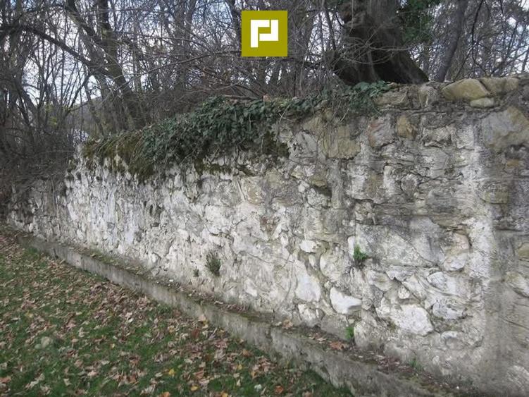 Conac nobiliar de secol XIX cu 8 camere în Maciova - 28