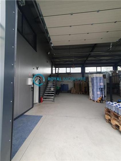 Royal Imobiliare - Vanzare spatiu industrial in zona Paulesti - 20