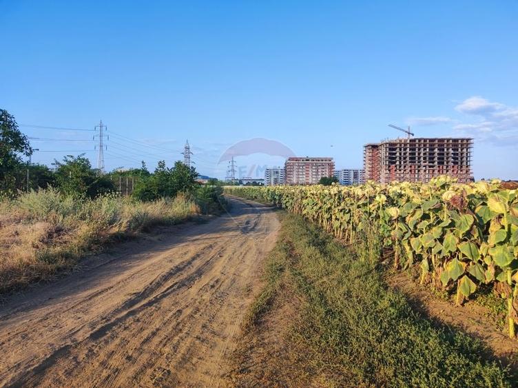 De Vanzare Teren cu Destinatie Rezidential | Berceni | Ocazie! - 4