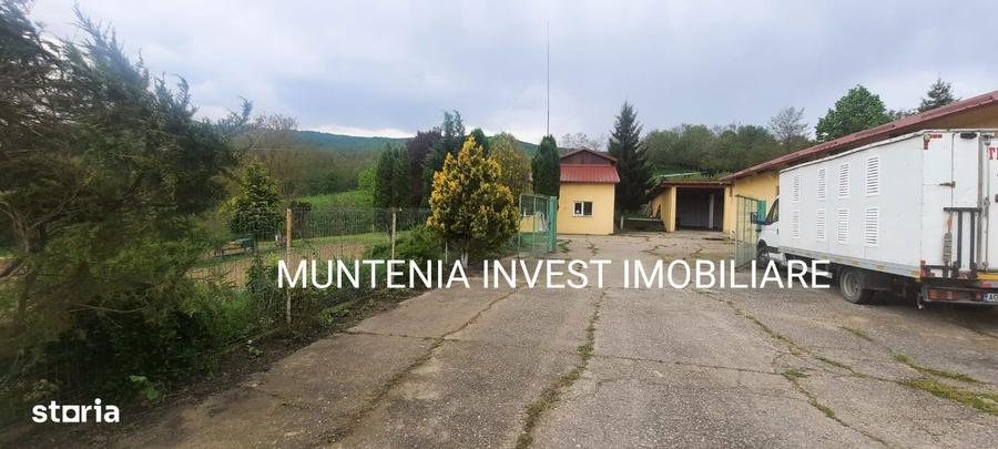 Proprietate de vanzare tip ferma, teren 28150 mp. Balilesti, Arges - 3