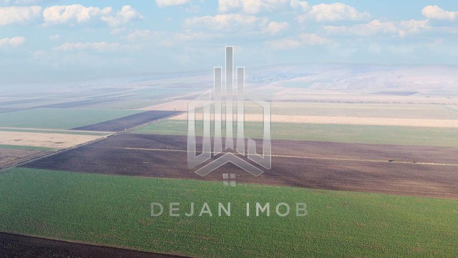 Teren agricol extravilan de 50000 mp, în Moacșa