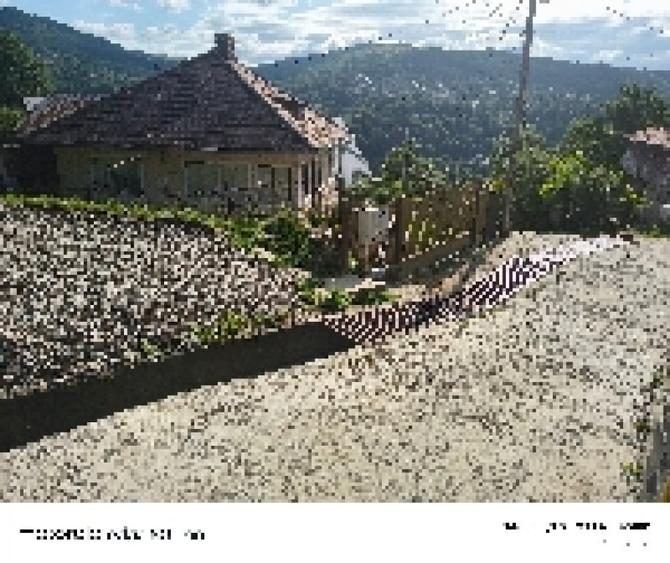Teren intravilan - 6