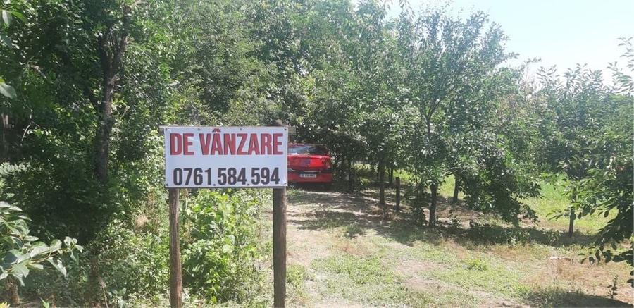 Spațiu comercial, în Lilieci