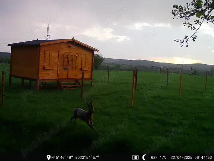 Teren de 16800 mp, în Sibiel