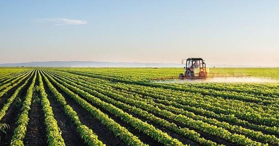 Teren agricol extravilan de 1100000 mp, în Stâlpu