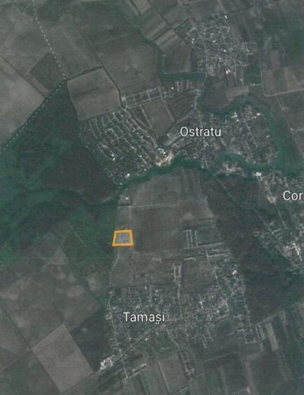 Teren Ostratu-Tamasi // OPORTUNITATE INVESTITII - 3