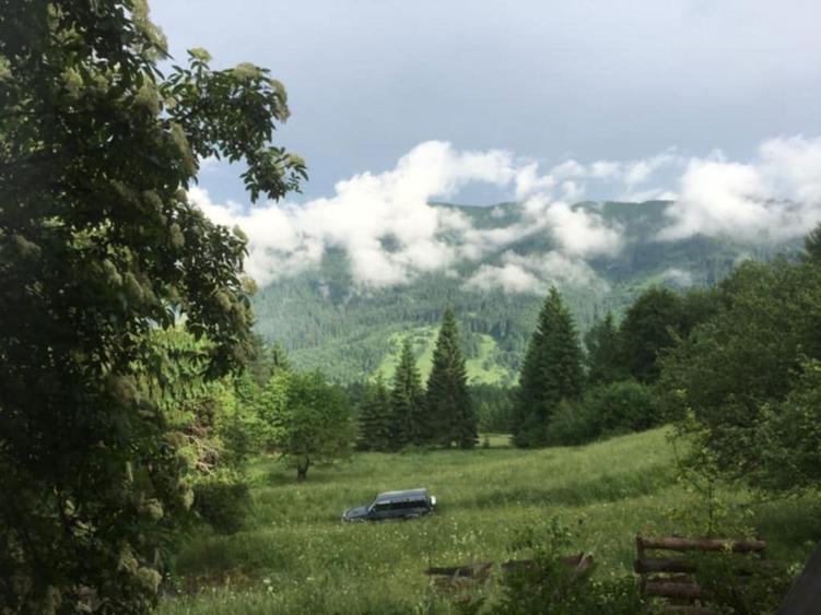 Casa/gospodarie + teren 5.7 ha intravilan Brodina, jud. Suceava - 2