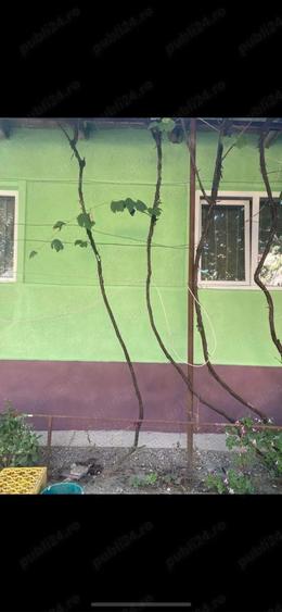 Vand casa cu teren de 18 arii in Sanpetru Almasului - 3