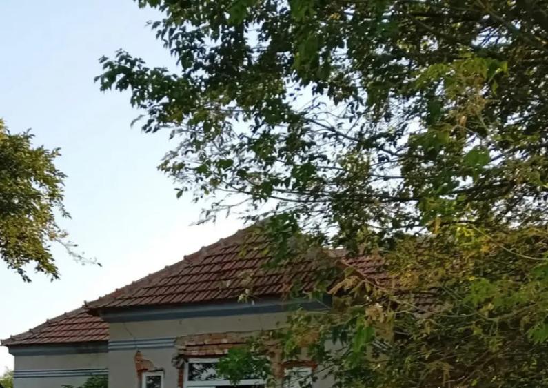 Casa P, 96 mp, teren 1948, Silistea Crucii - 8