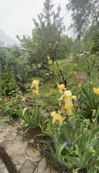 Vand casa de vacanta 27km de Buzau, Valea Parului Beceni - 3