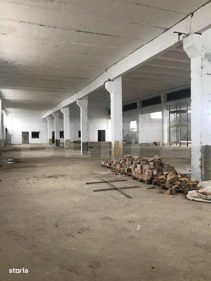 Hala Industriala Mare | 1.250 mp | Acces DN71 | Usi Industriale Mari | - 4