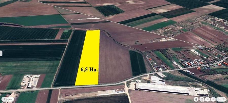 UNICAT ! Dascalu, 65.000 mp. teren intravilan cu deschidere de 102 ml. la DJ200 - 1