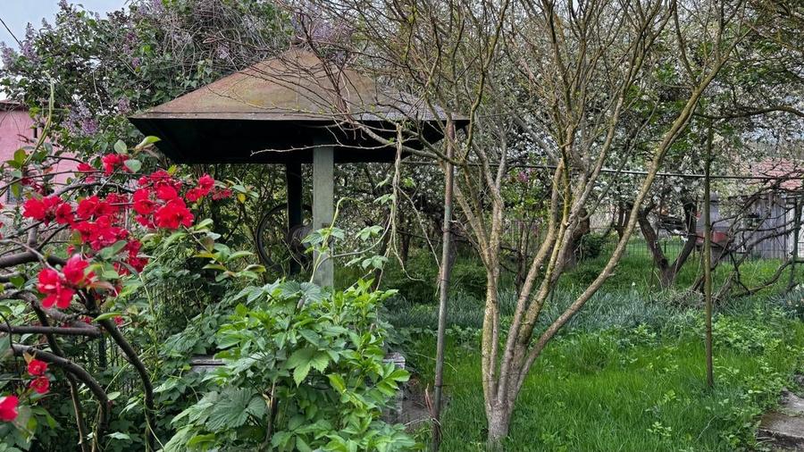 Teren de vanzare 8114 mp si  casa   in Coroisanmartin-Mures - 3