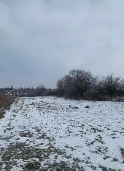 Vanzare suprafata compacta 35 000mp  Tarla 31 Petrechioaia - 7