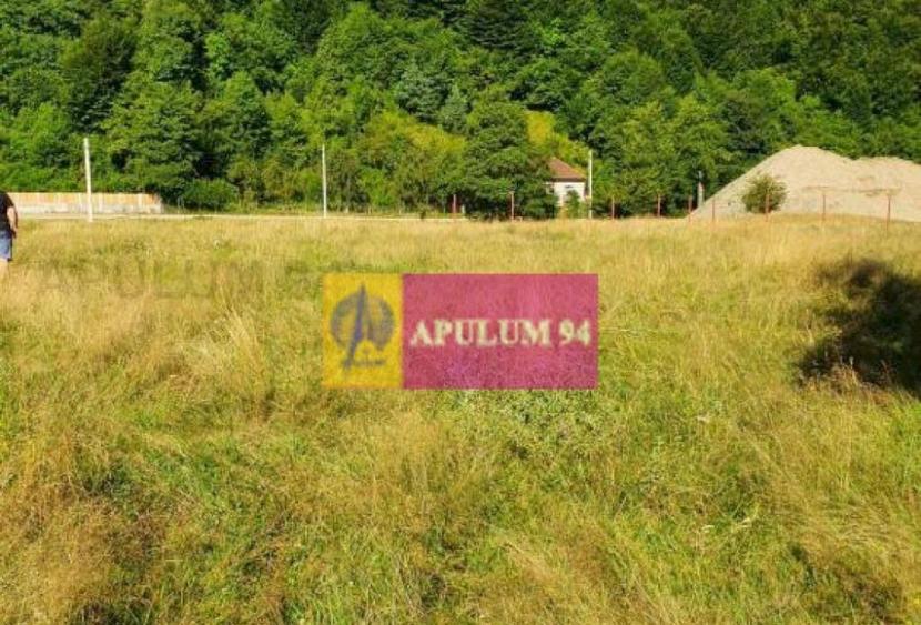 Teren Jude?ul Valcea - Brezoi, Valea lui Stan - 7